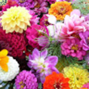 Meet your Posher, Becky